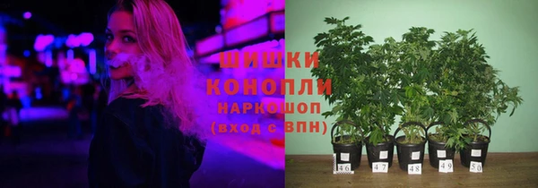 гашик Алзамай