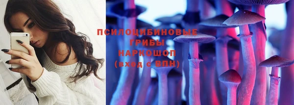гашик Алзамай