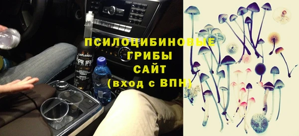 эйфоретик Абаза