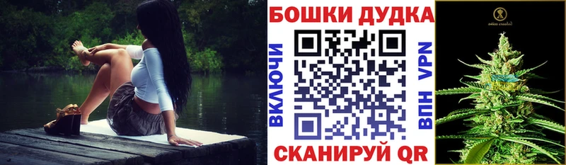 Бошки марихуана THC 21%  купить   Боровичи 